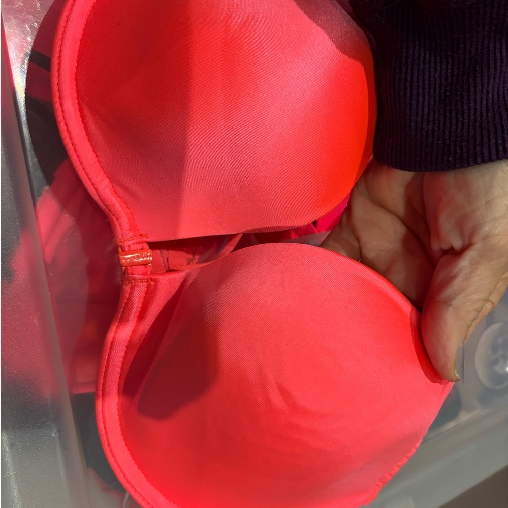 NWT 34 C bra.